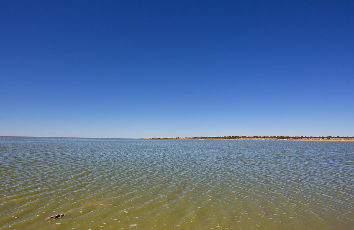 Blue Skies