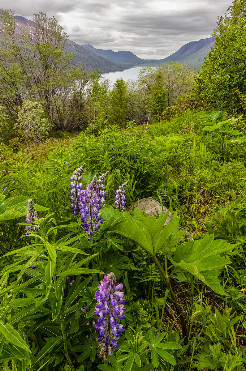 Above the valley
