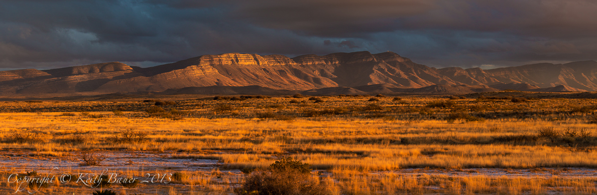 Land of Enchantment