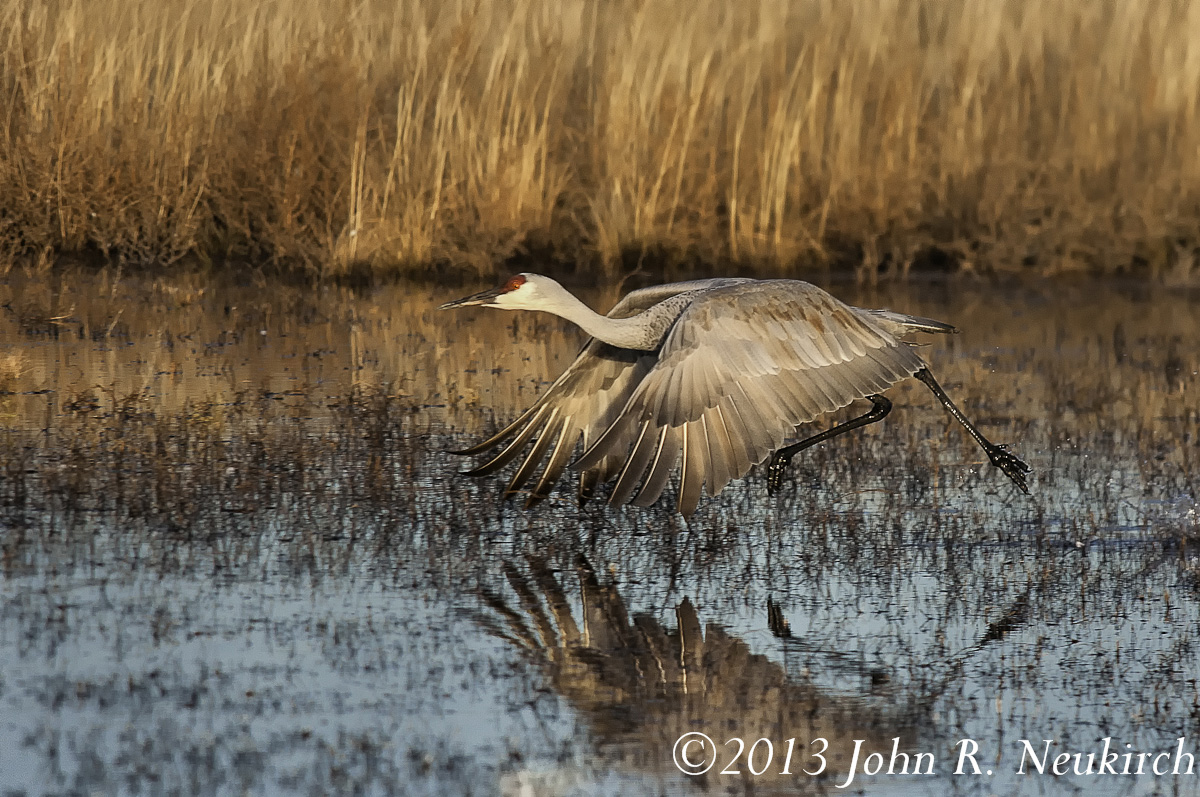 Heading toward take off