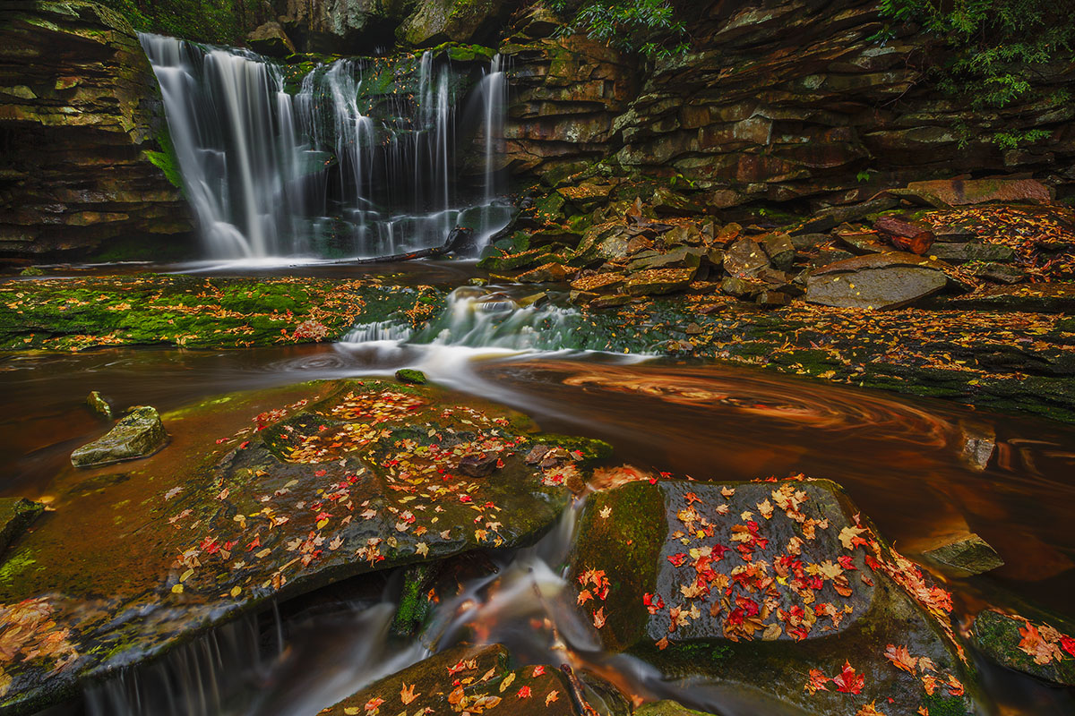 Falling Leaves