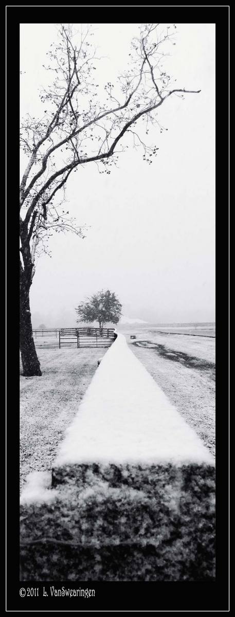 Vanishing Point