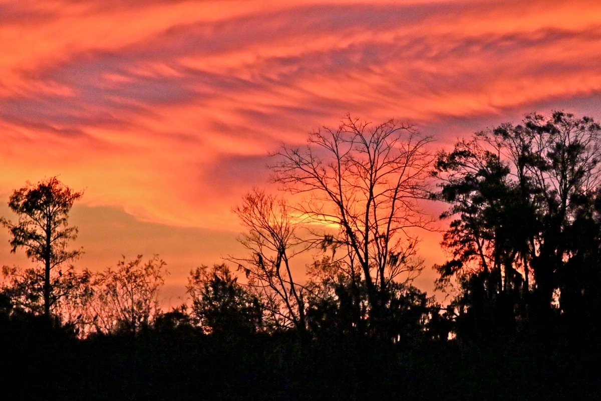 Sky is on fire