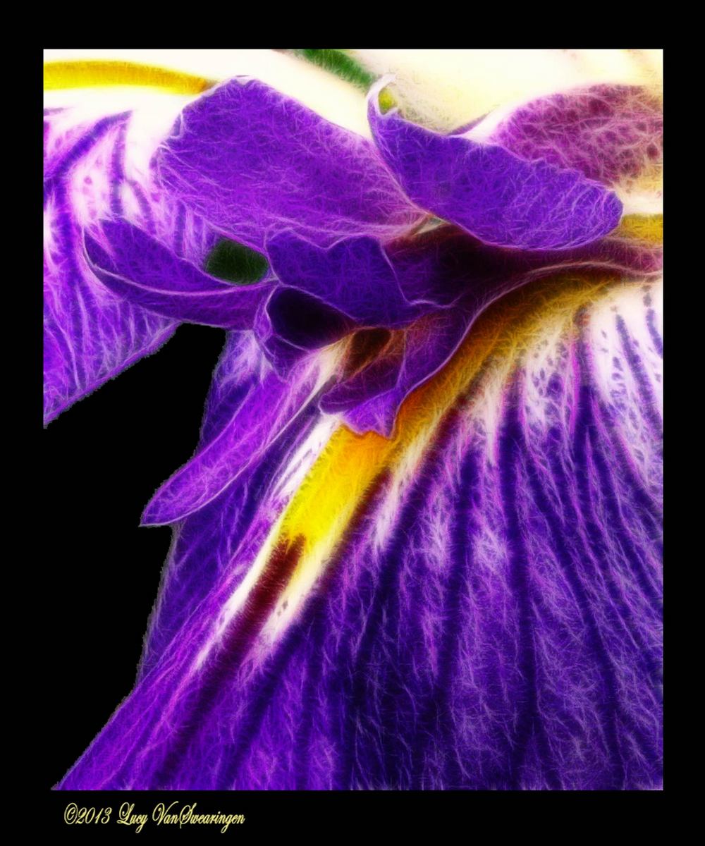 Purple Waterfall