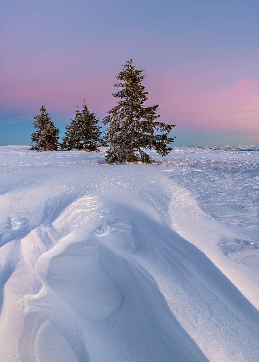 Snowscapes