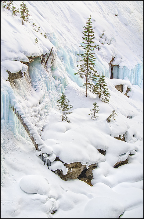 WC# 615 Winter