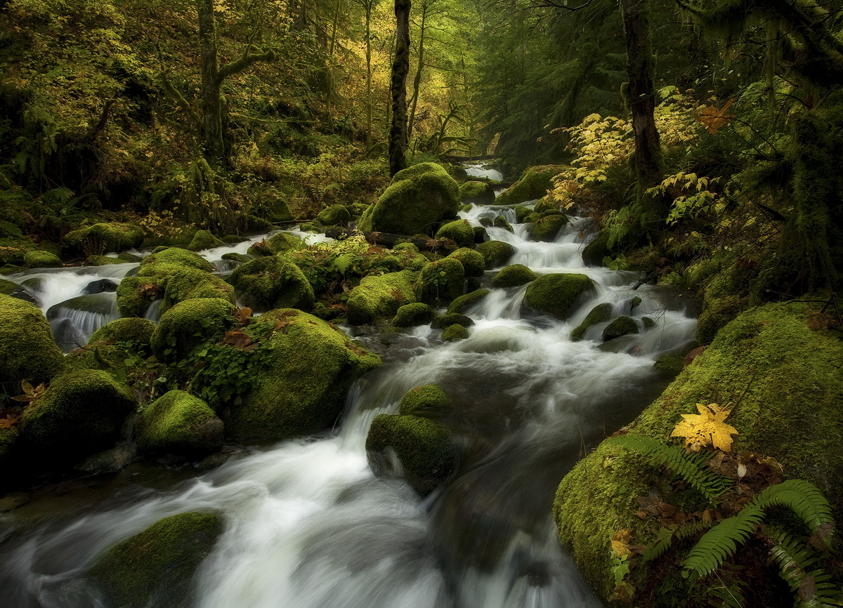 McCord Creek Fall
