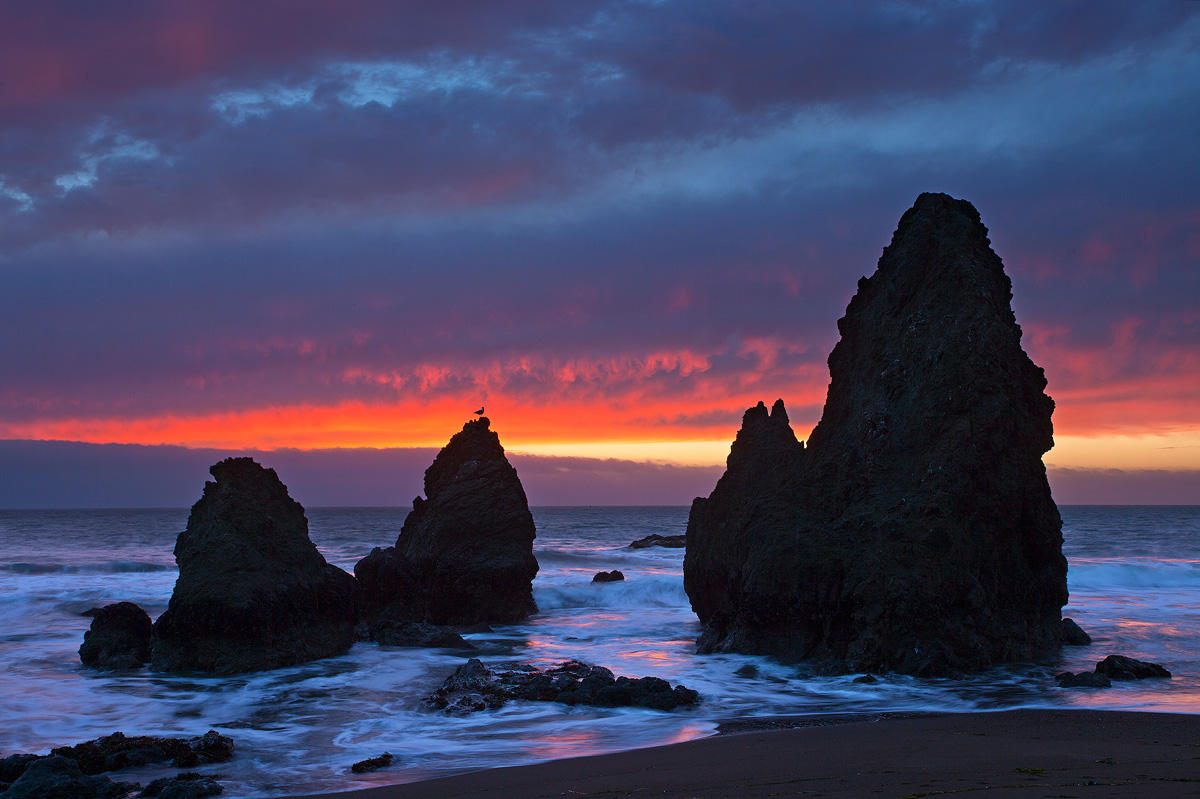 Gull rock