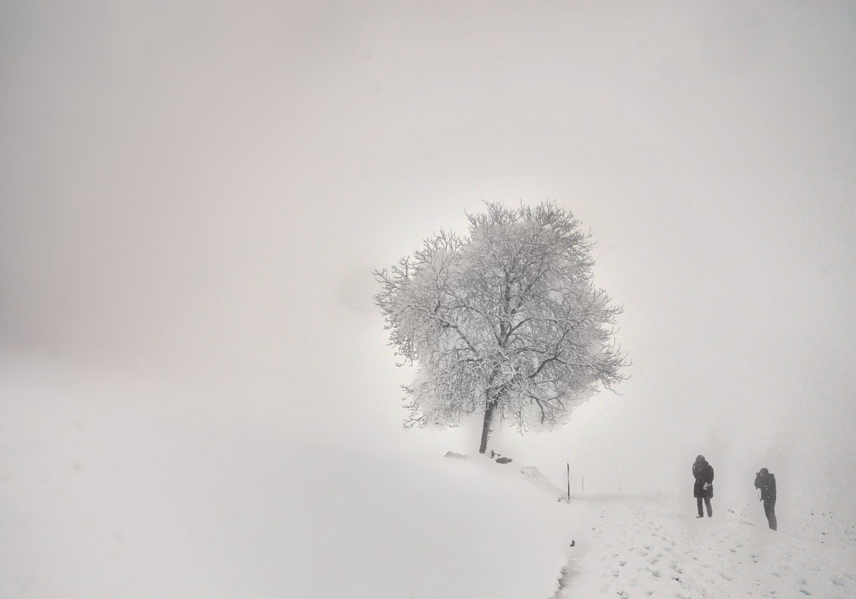 Winter Walk