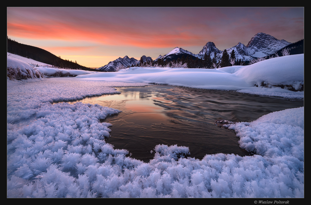 Frosty Dreams