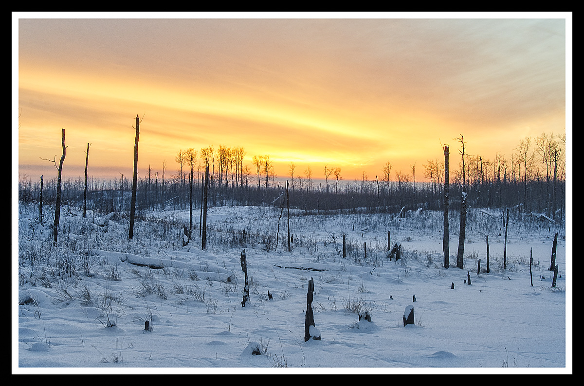 Fire in the Sky
