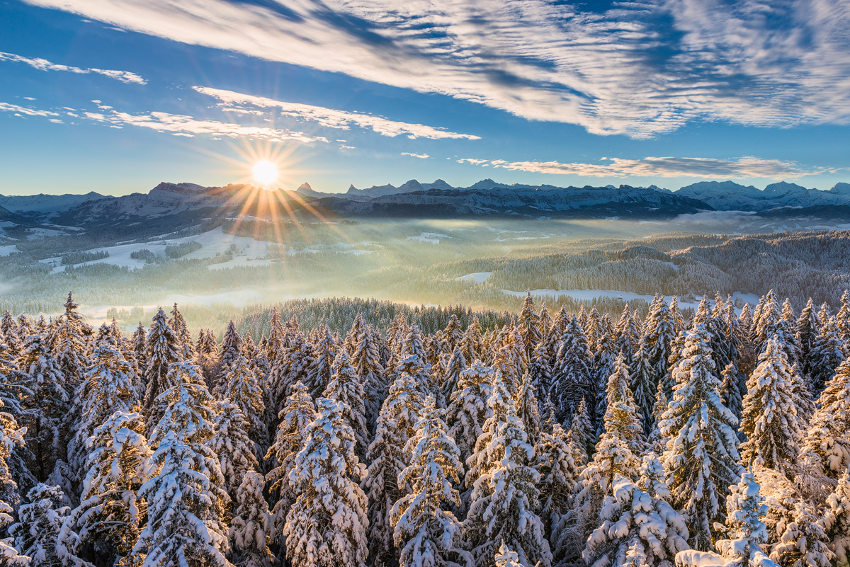 Winterwonderland