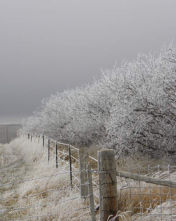 Fence and Snow