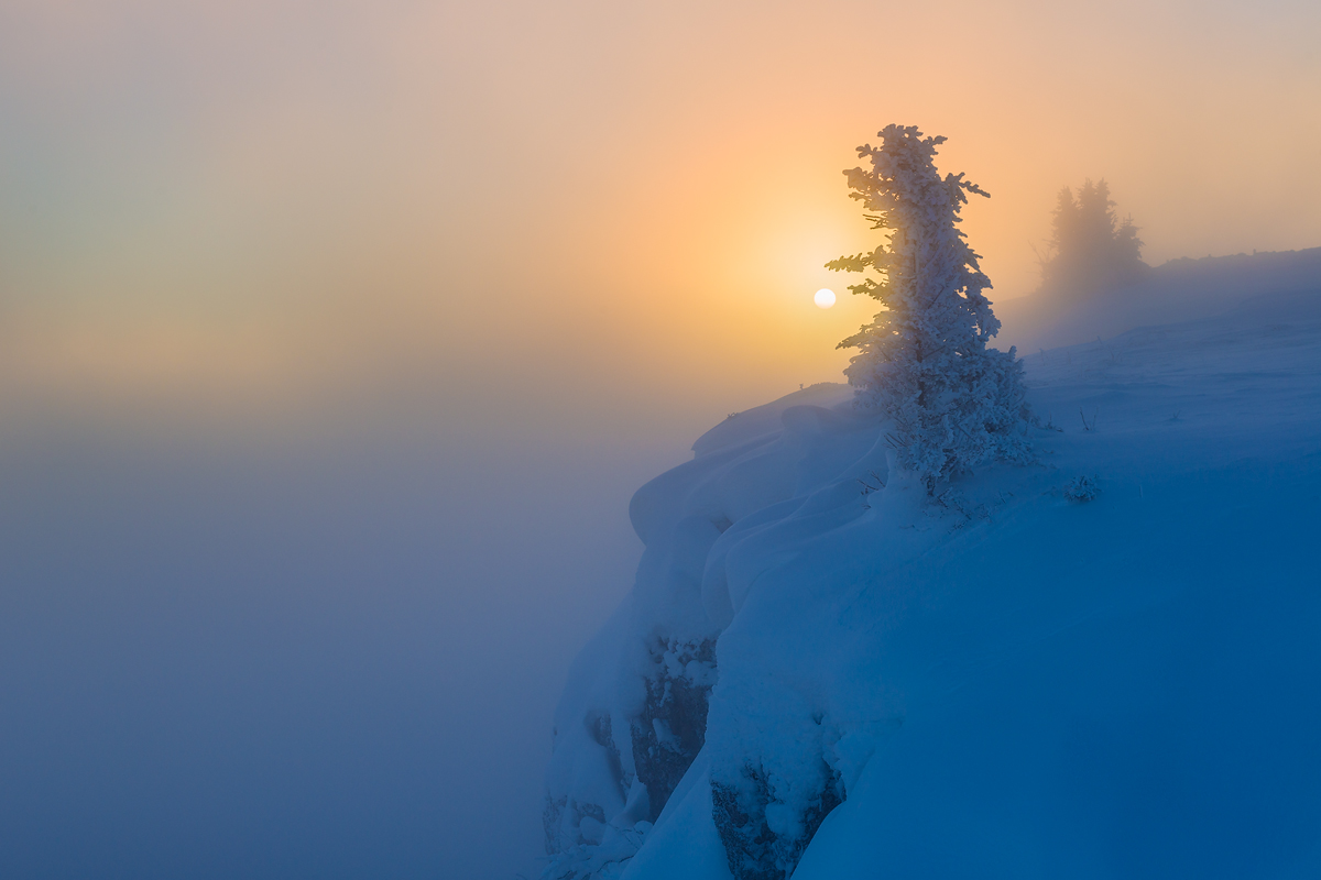 Into The Light