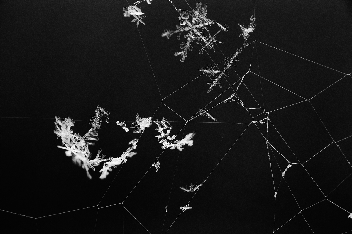 Trapped
