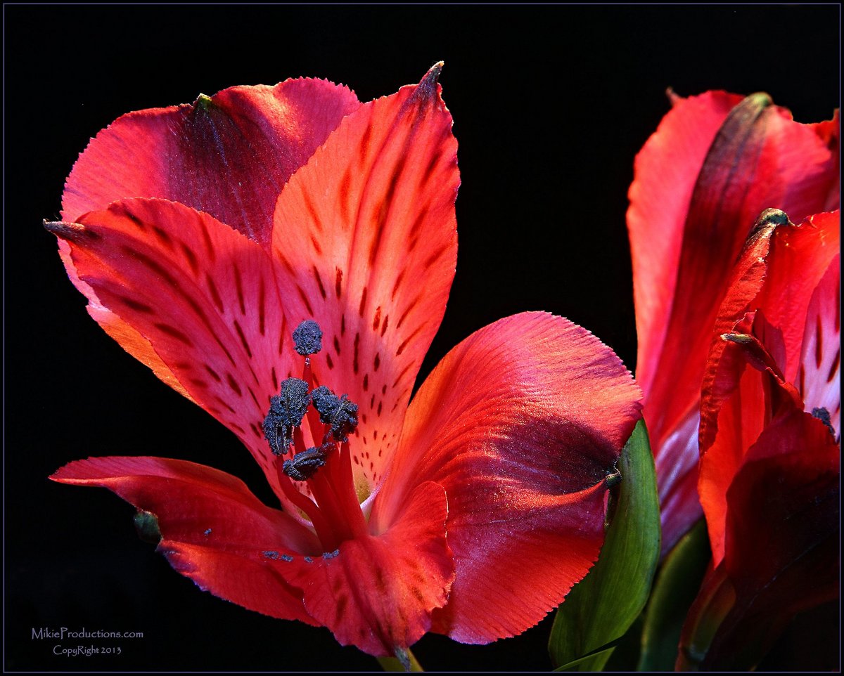 ‘Working with Red’