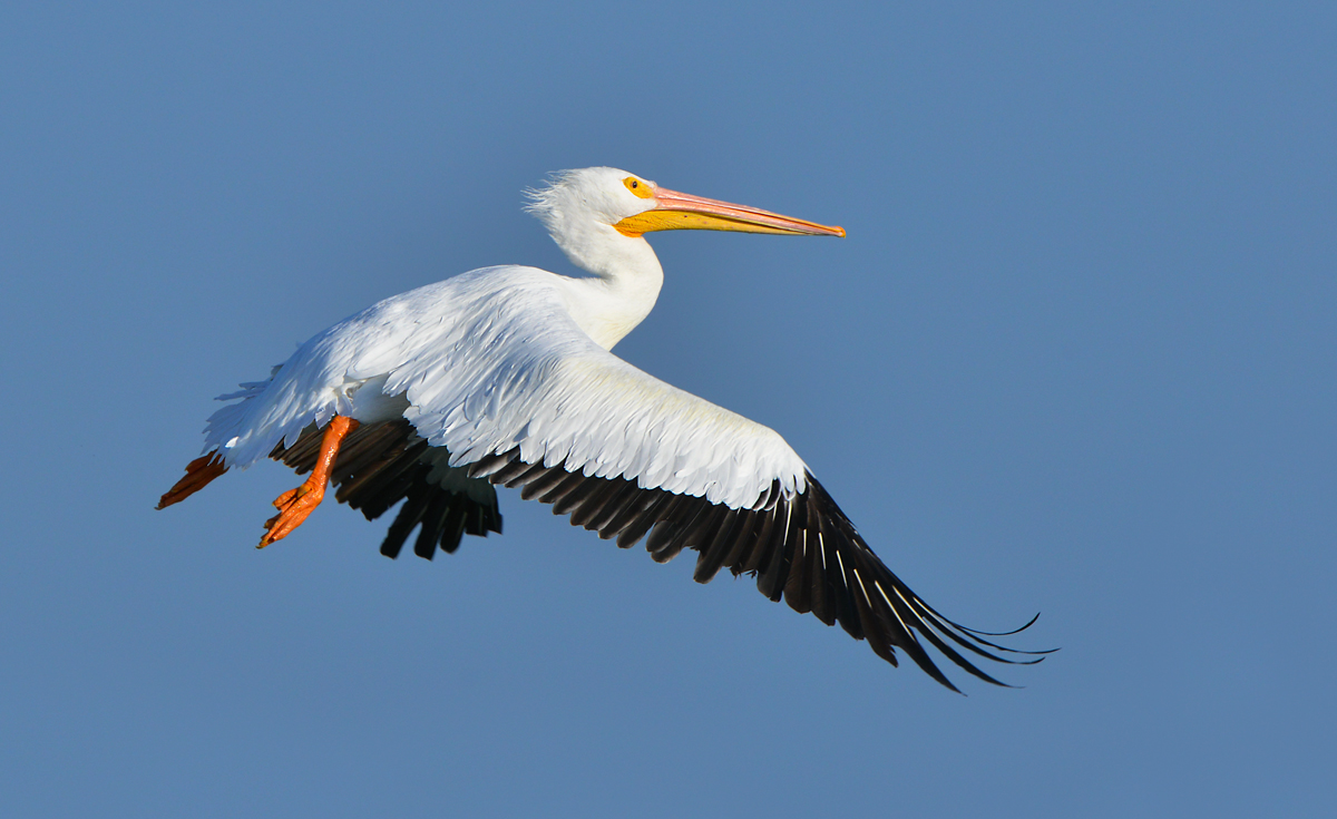 Up and away