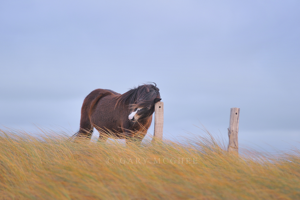 Having a Scratch
