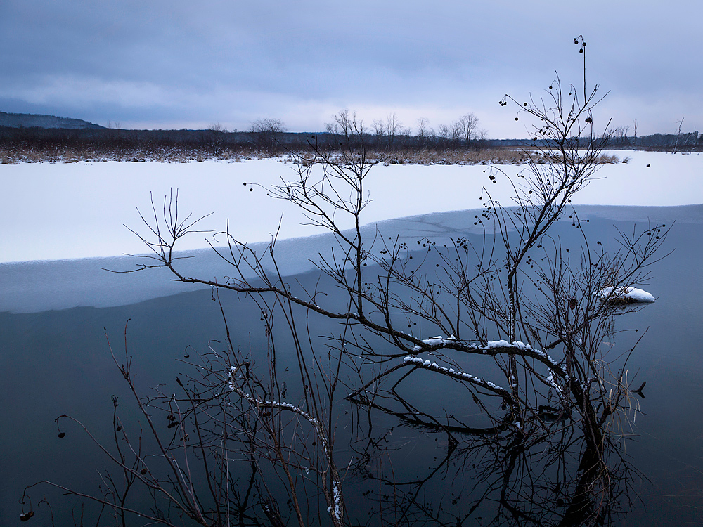 Winter Stillness