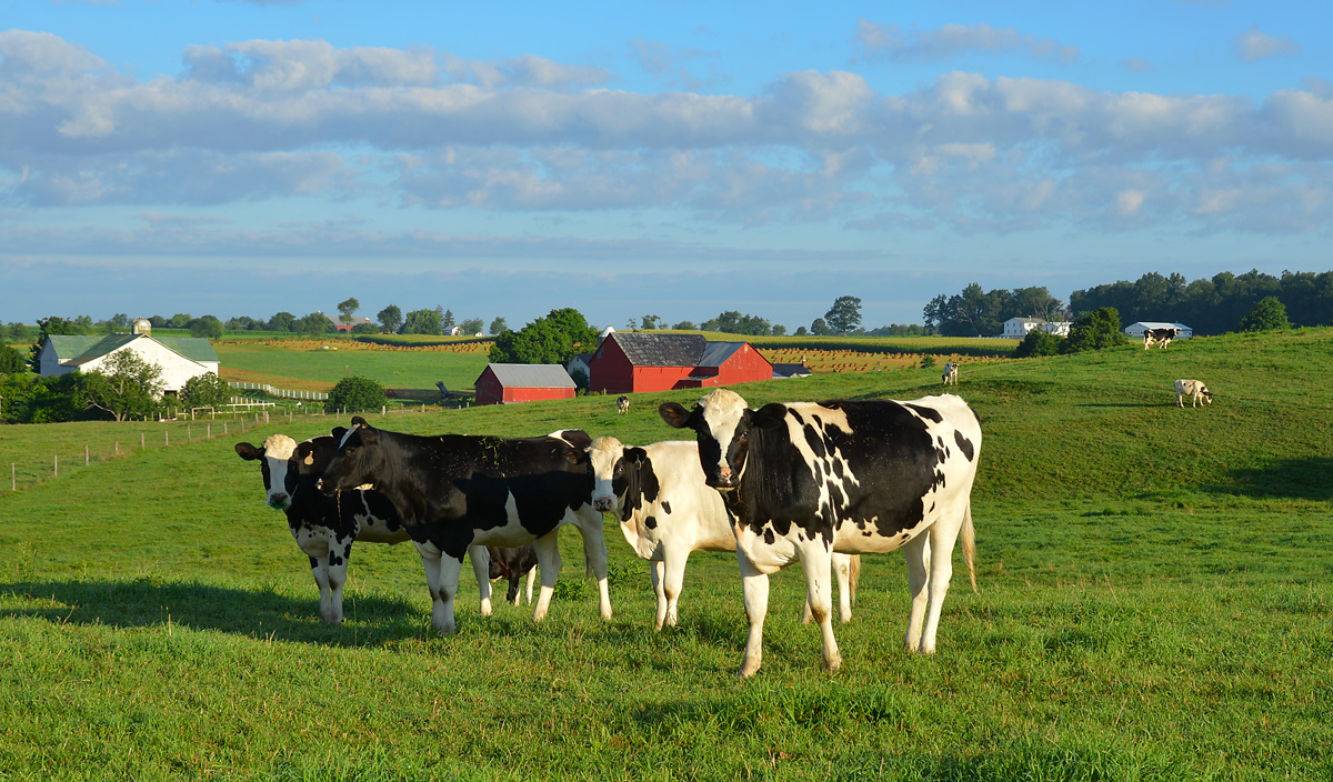Amish country