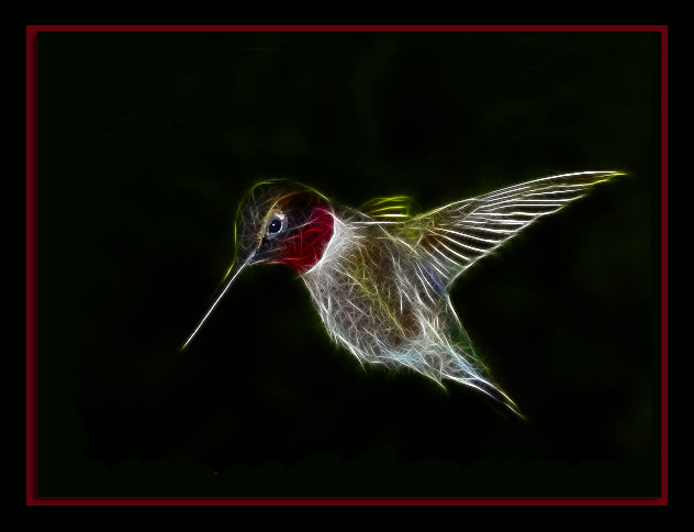Hummer