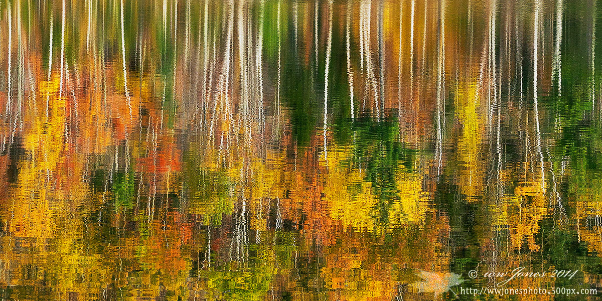 Autumn in Round Pond