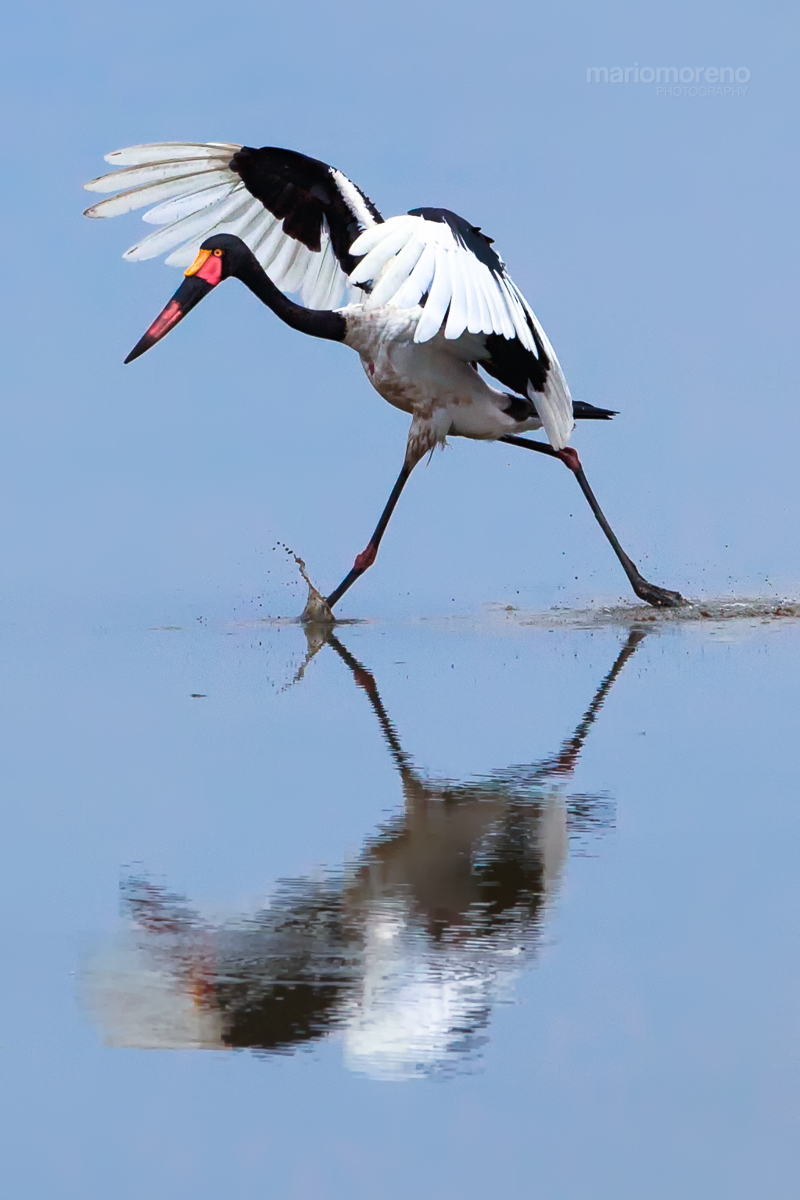 Walking on Water
