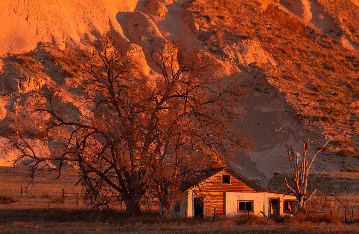 This Old House