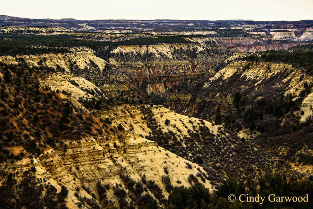 utah Canyon