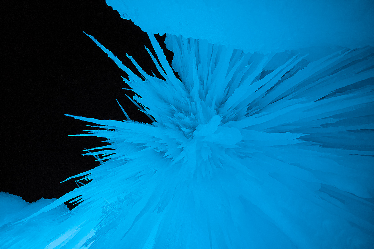 Blue Daggers