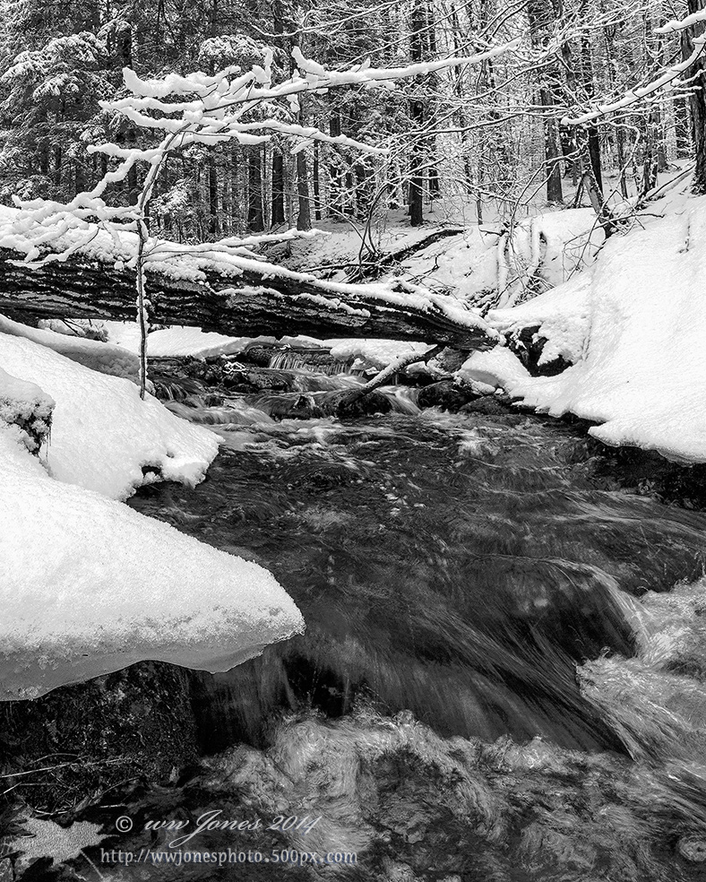 January Thaw II