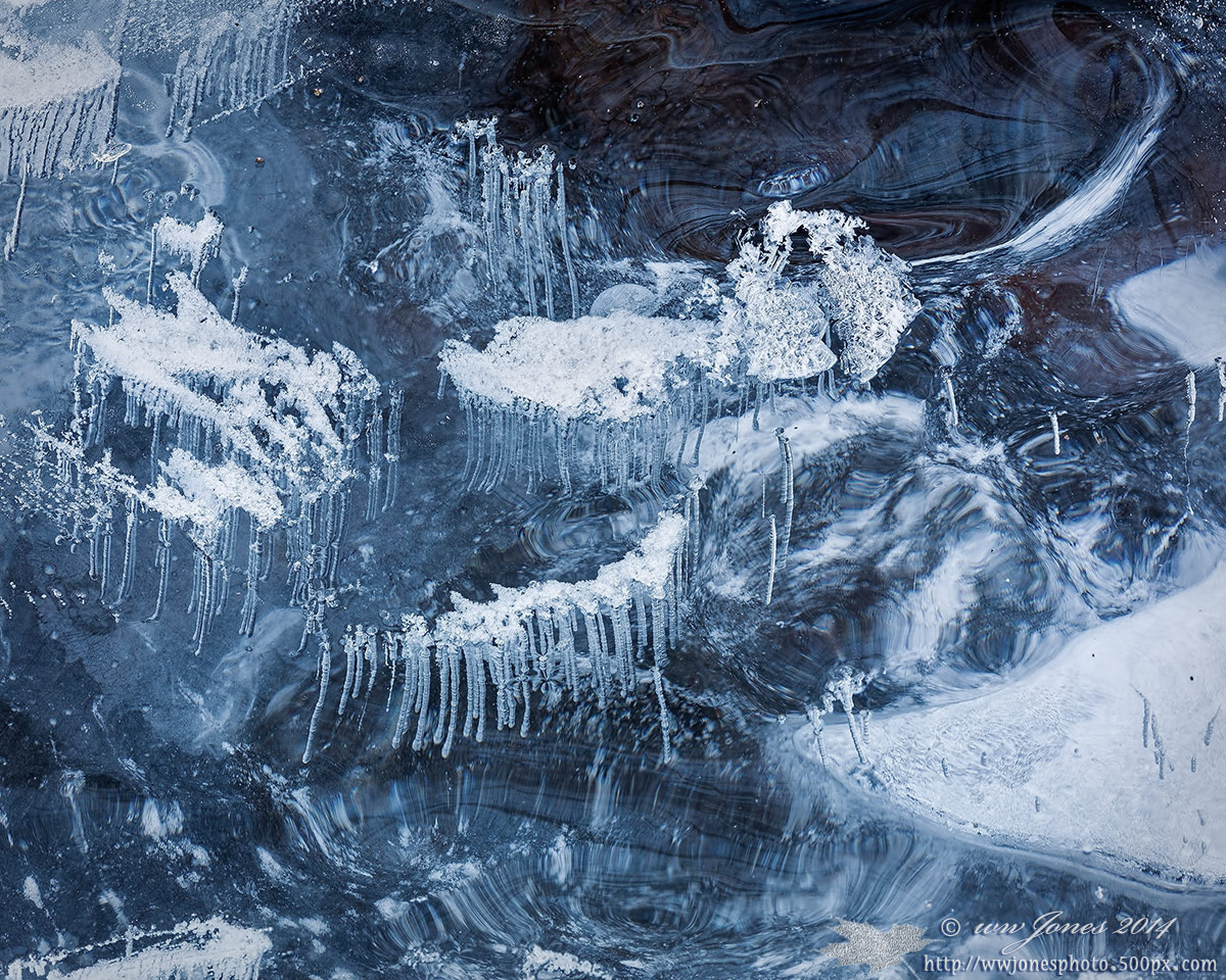 Polar Vortex