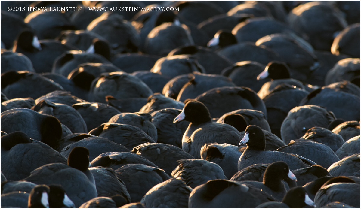 Huddled