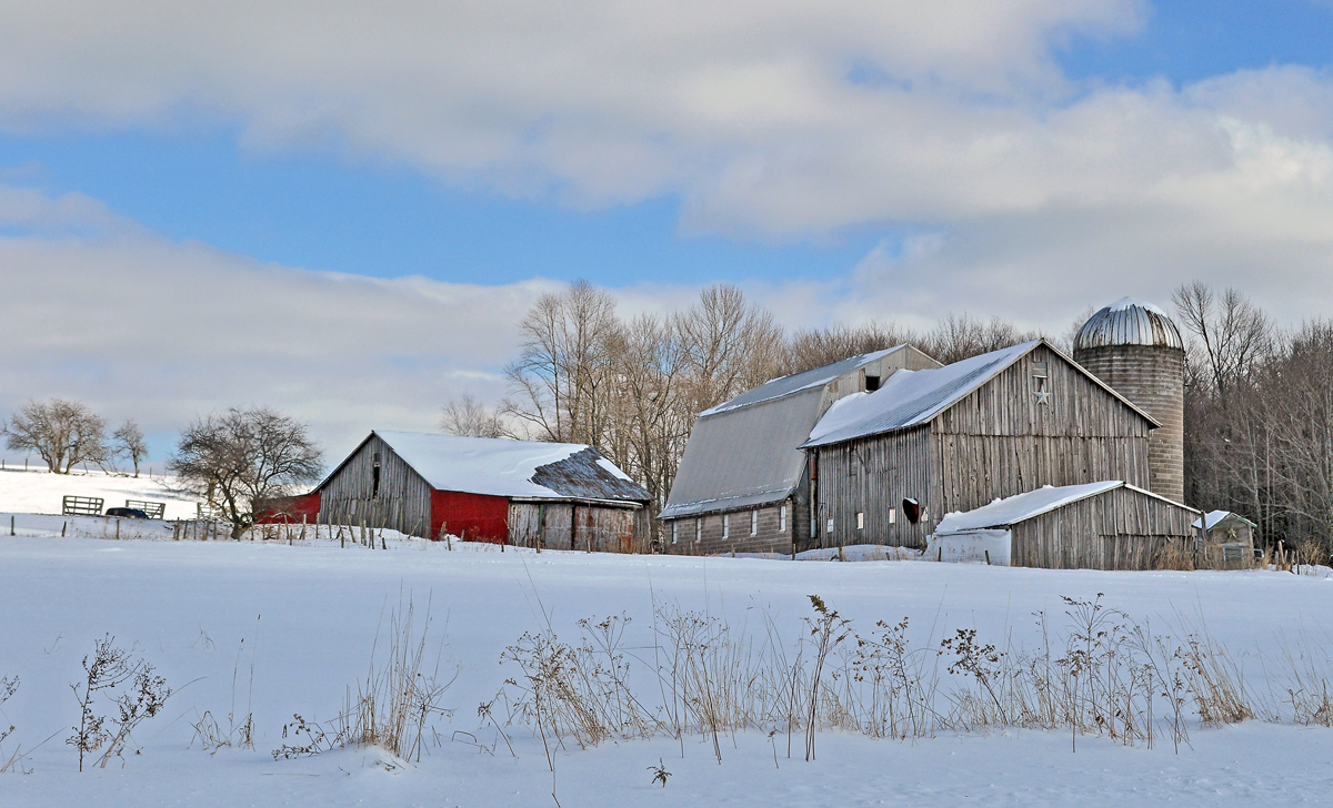 Barn on Blueberry Hill 