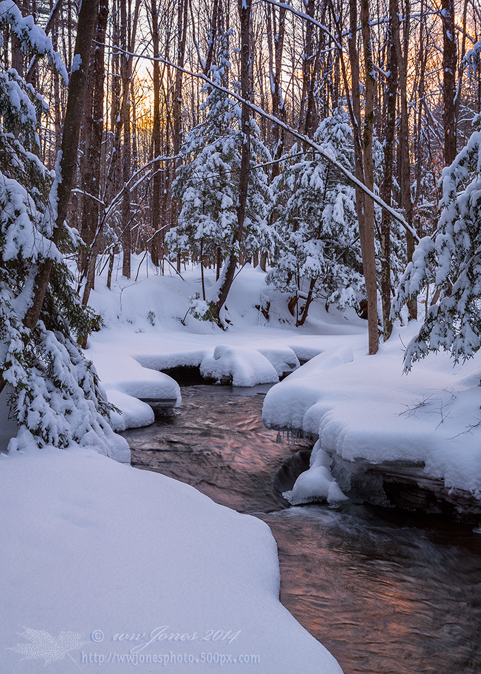 Warm Light on Cold Brook