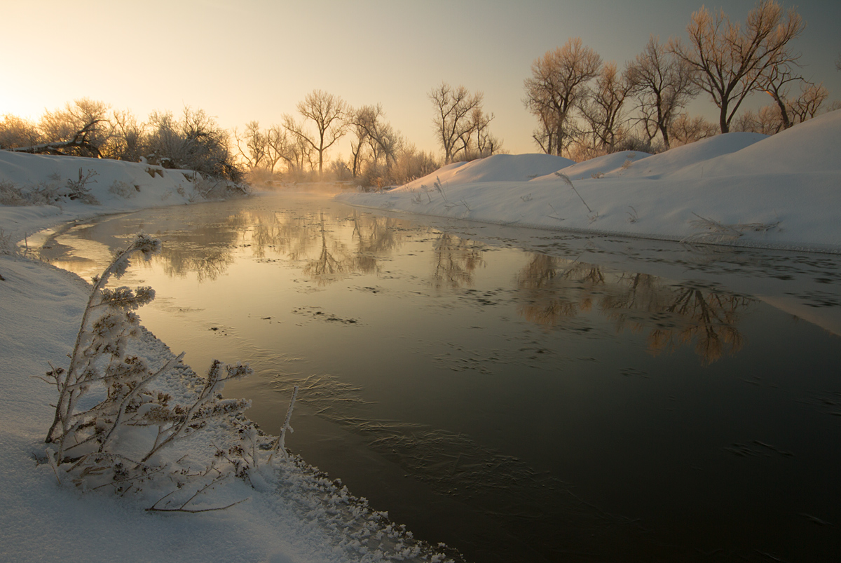 Morning on the River