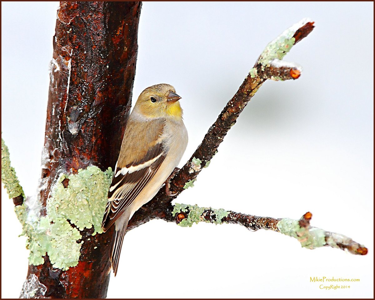 ‘A Winter’s Day’