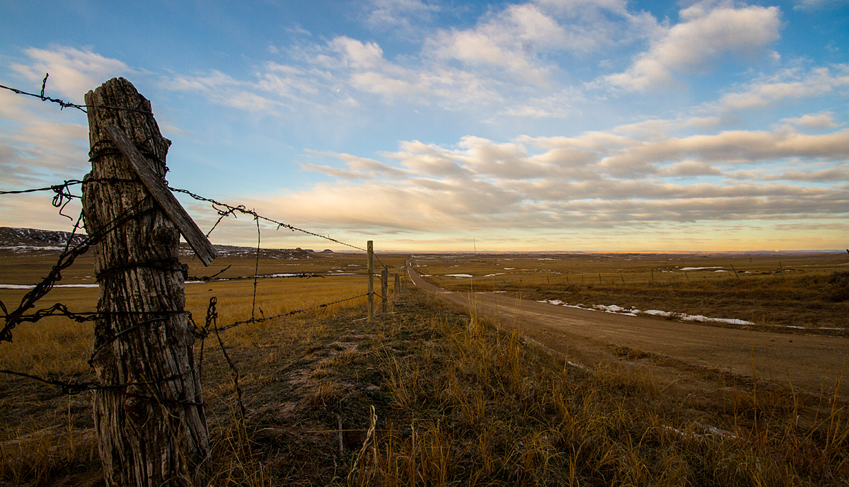 Fence and Road