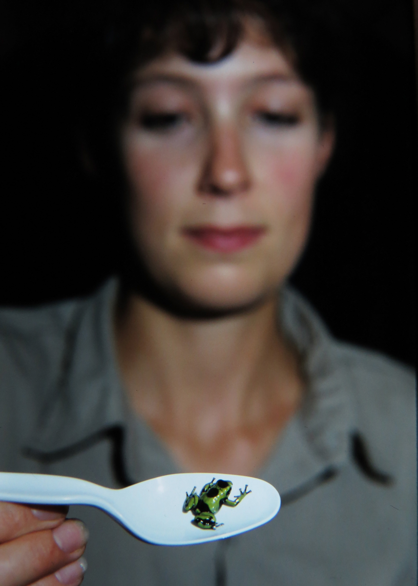 Frog conservation