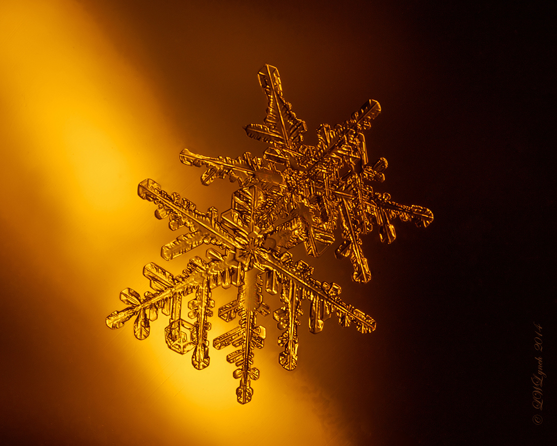3 Snow Crystals