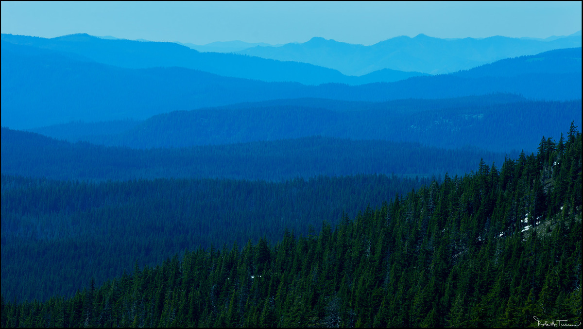 You Can See for Miles