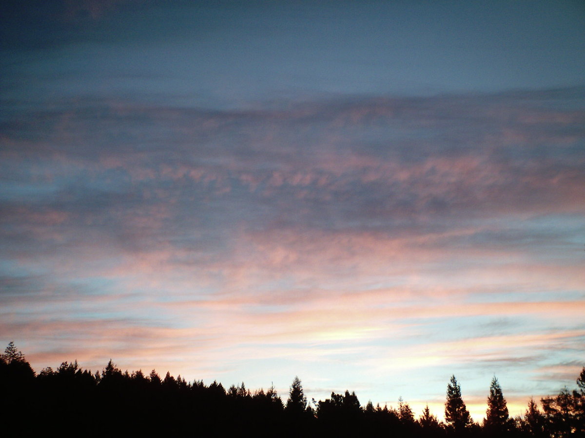 Morning Sky!