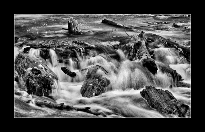 Eastern Sierra Stream