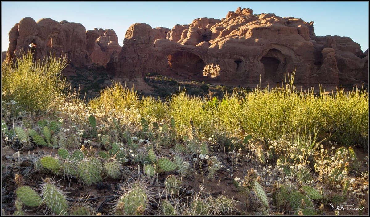 Arches 