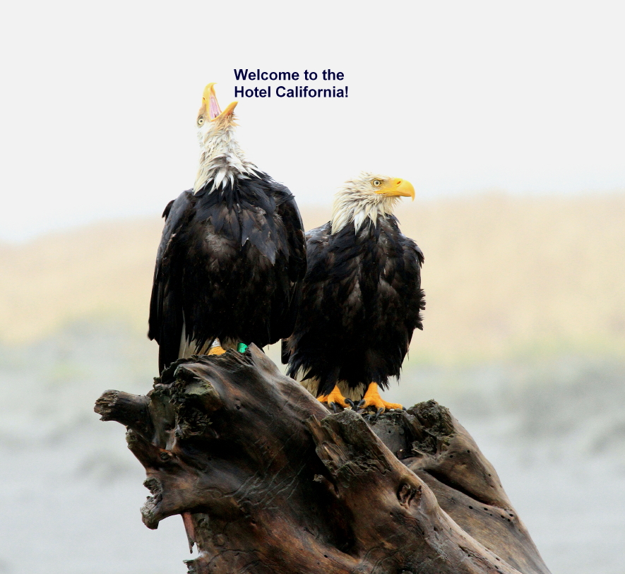 Two Eagles