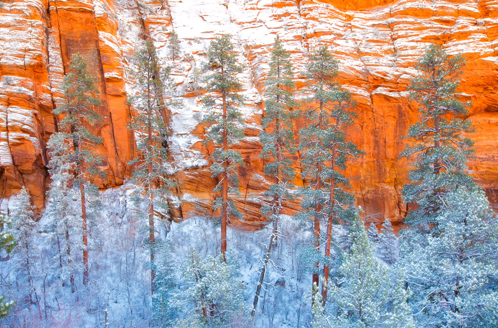 Ponderosa Sandstone