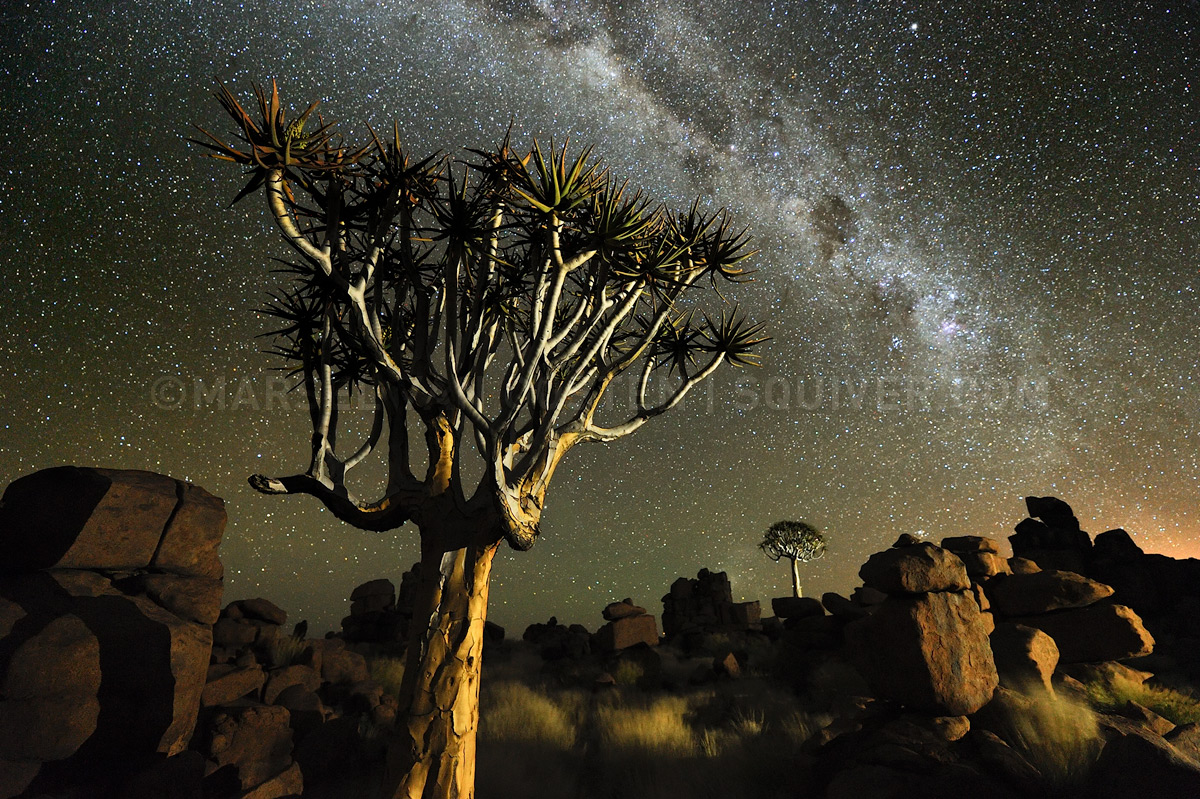 Namibian Nights V