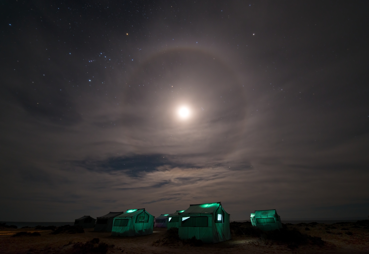 Baja Whale Camp