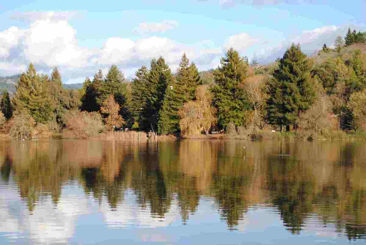 Spring Lake In December