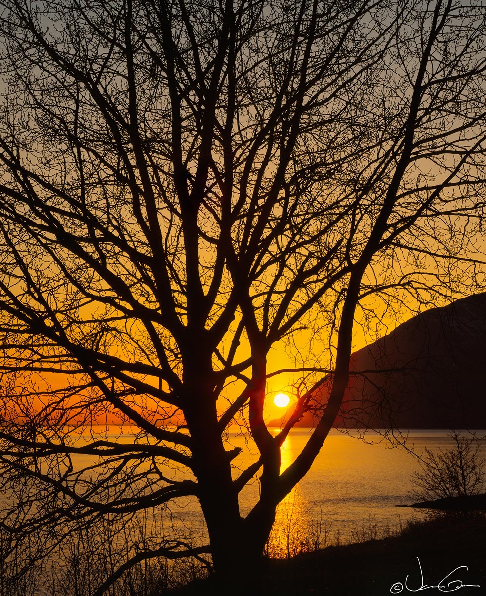 Cottonwood, Turnagain